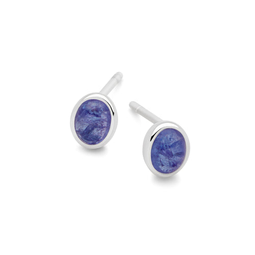 Tanzanite Pop Studs